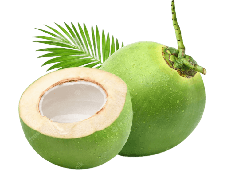 GELO DE COCO - Comprar em Coconut Brasil